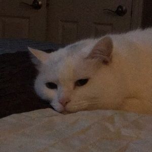 Meet your Posher, Brandy